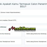 Cara Cek BSU 2025 BPJS Ketenagakerjaan Online!
